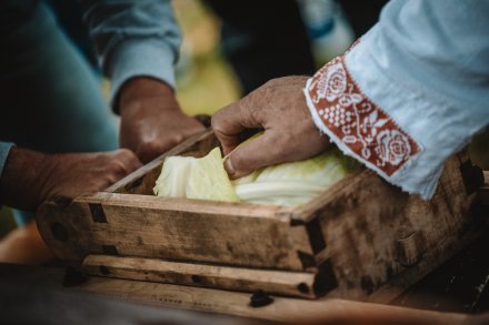 Dożynki 2025 fot. Daniel Franek